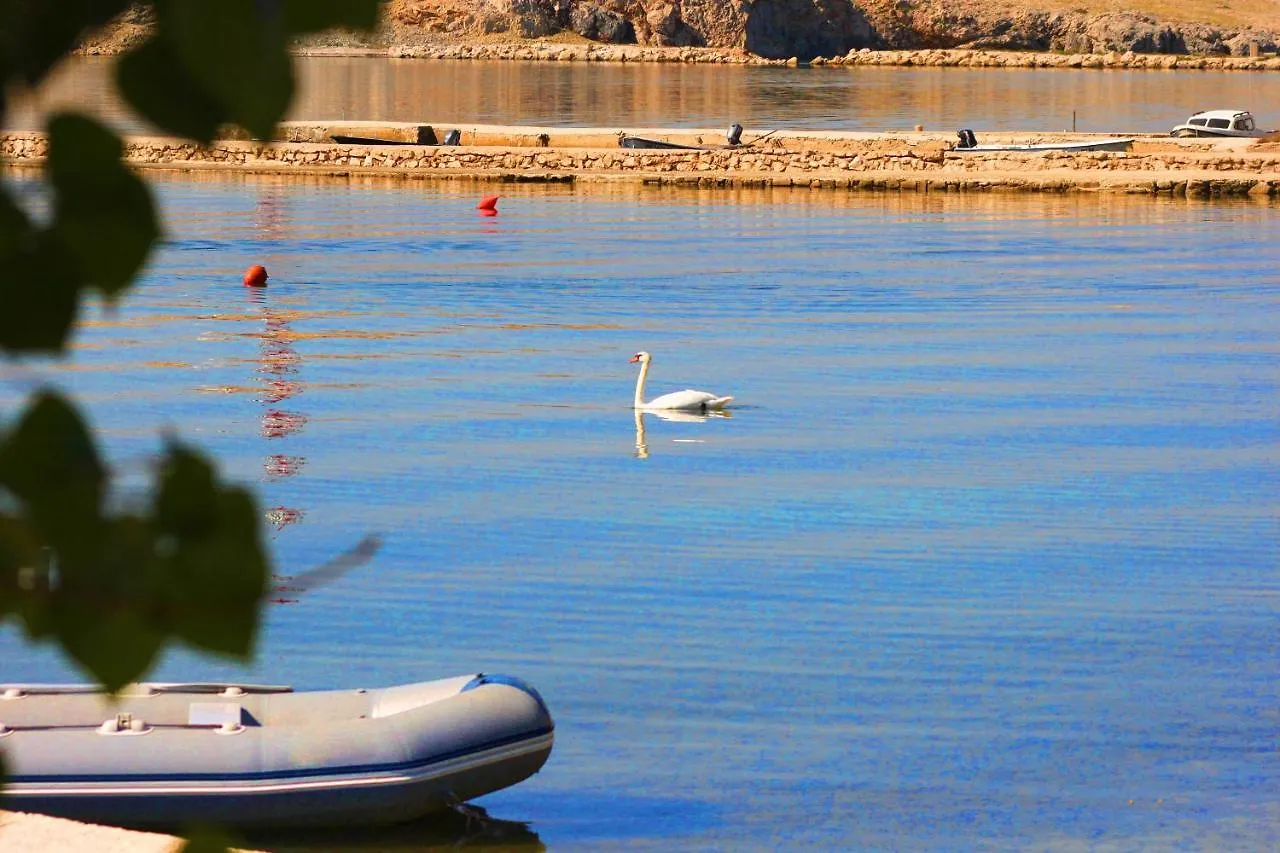 Dubravka Apartment Dinjiska Croatia